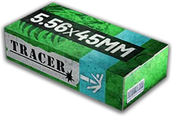 5.56mm Flesh Damage (HP)