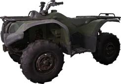 Bobcat