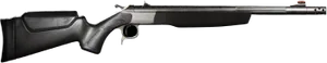 Scout Rifle TD